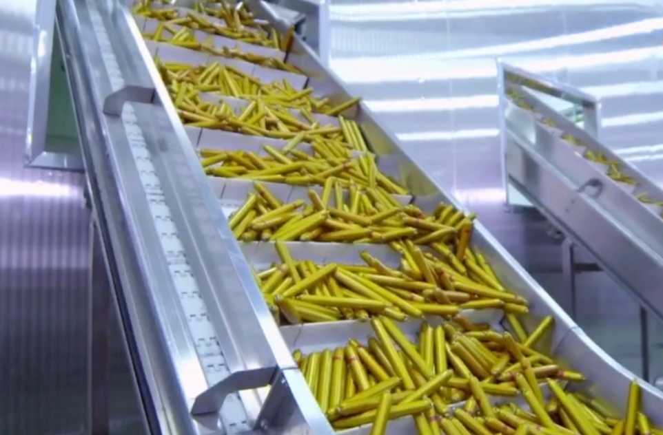 火腿腸生產(chǎn)線(xiàn)視頻