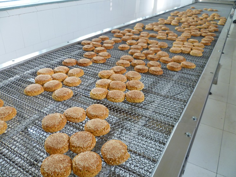 購(gòu)買(mǎi)網(wǎng)帶輸送機(jī)型號(hào)規(guī)格參數(shù)該怎么選擇